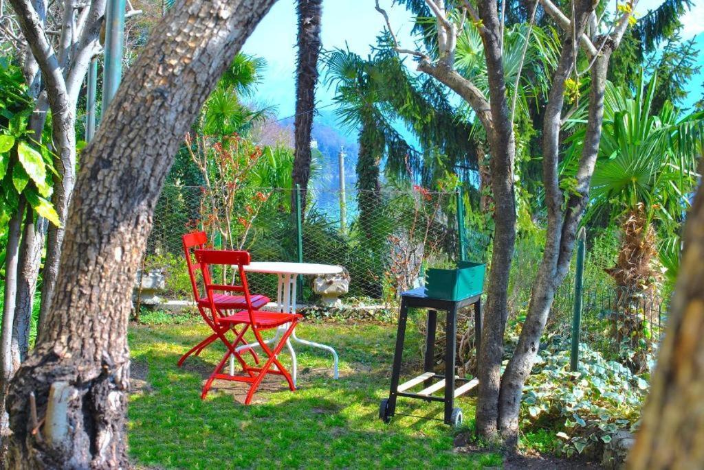 Belvedere - Apartment With Balcony Lake View Sala Comacina Buitenkant foto